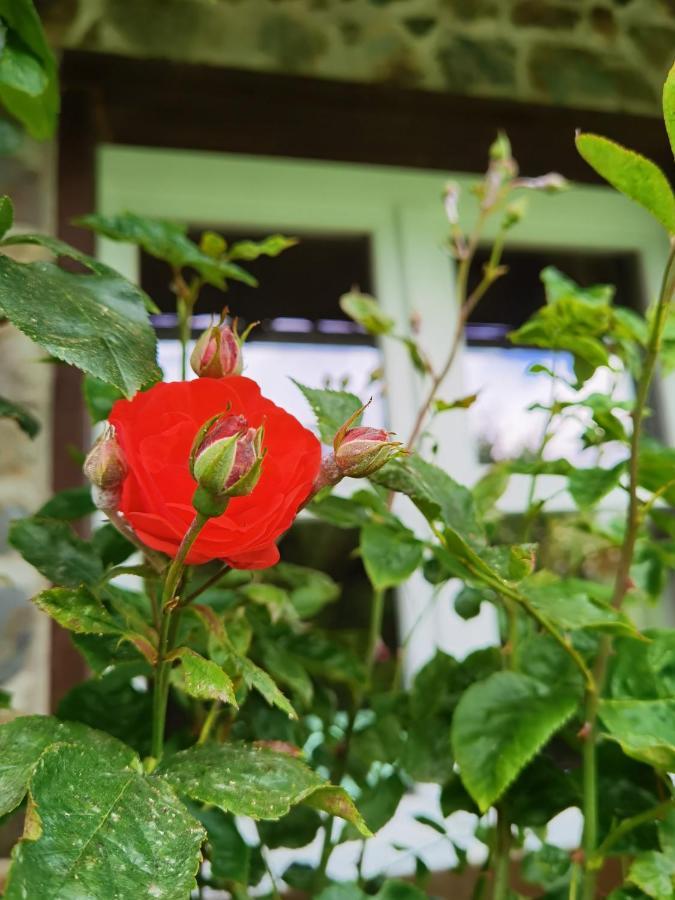 Ferienhaus Eifelrose Simmerath Exterior foto