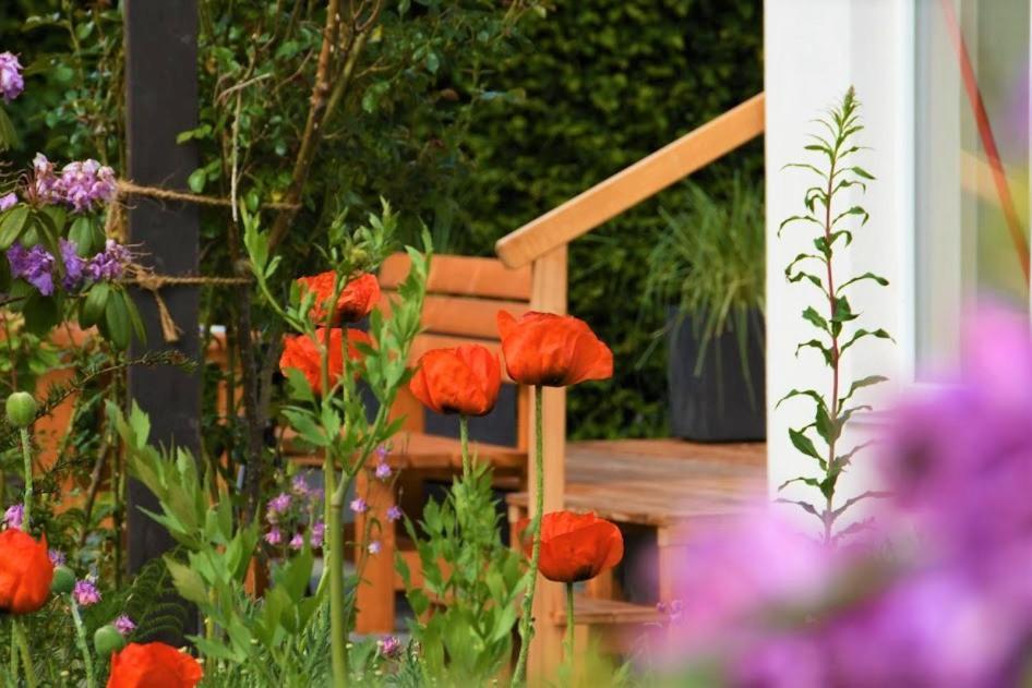Ferienhaus Eifelrose Simmerath Exterior foto